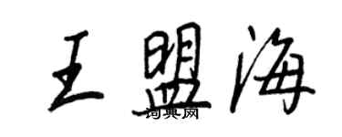 王正良王盟海行書個性簽名怎么寫