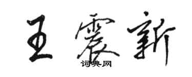 駱恆光王震新行書個性簽名怎么寫