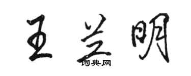 駱恆光王蘭明行書個性簽名怎么寫