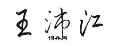 駱恆光王沛江行書個性簽名怎么寫