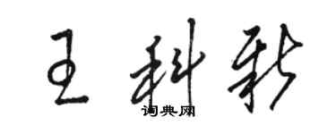 駱恆光王科新草書個性簽名怎么寫