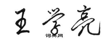 駱恆光王學亮行書個性簽名怎么寫