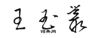 駱恆光王玉叢草書個性簽名怎么寫