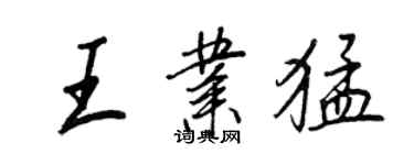 王正良王業猛行書個性簽名怎么寫