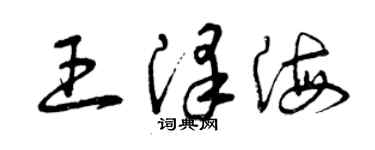 曾慶福王澤海草書個性簽名怎么寫