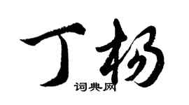 胡問遂丁楊行書個性簽名怎么寫