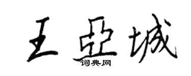 王正良王亞城行書個性簽名怎么寫