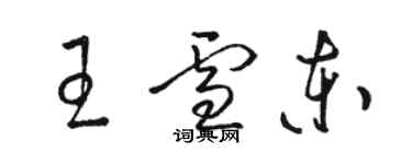 駱恆光王雪東草書個性簽名怎么寫