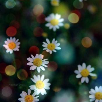 關於習慣的作文 習慣作文專題