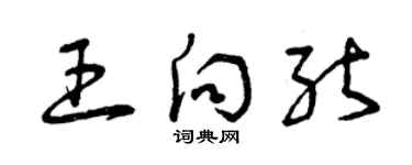 曾慶福王向能草書個性簽名怎么寫