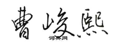 駱恆光曹峻熙行書個性簽名怎么寫