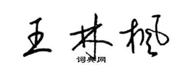 梁錦英王林楓草書個性簽名怎么寫