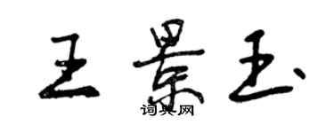 曾慶福王景玉行書個性簽名怎么寫