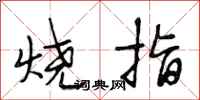 段相林燒指行書怎么寫