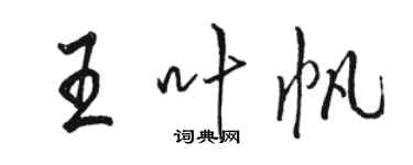 駱恆光王葉帆行書個性簽名怎么寫