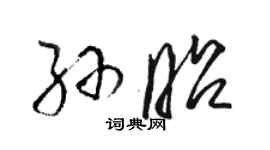 駱恆光孫昭草書個性簽名怎么寫