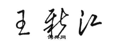 駱恆光王新江草書個性簽名怎么寫