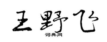 曾慶福王野飛行書個性簽名怎么寫