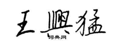 王正良王興猛行書個性簽名怎么寫