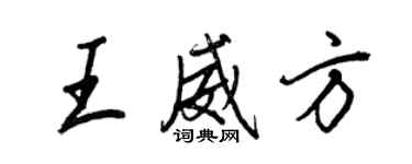 王正良王威方行書個性簽名怎么寫