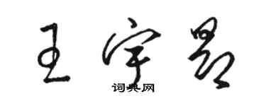 駱恆光王宇昂草書個性簽名怎么寫