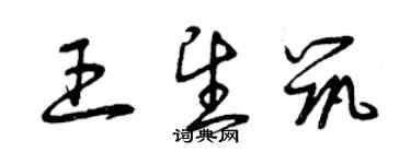 曾慶福王望築草書個性簽名怎么寫