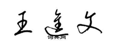 梁錦英王進文草書個性簽名怎么寫