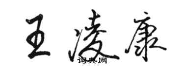 駱恆光王凌康行書個性簽名怎么寫