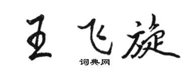 駱恆光王飛旋行書個性簽名怎么寫
