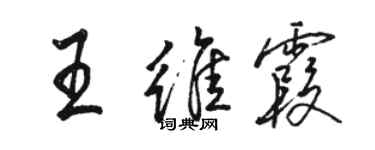 駱恆光王維霞行書個性簽名怎么寫