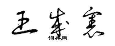 曾慶福王成憲草書個性簽名怎么寫