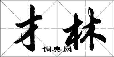 胡問遂才林行書怎么寫