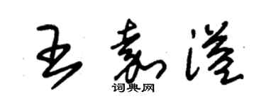 朱錫榮王嘉溢草書個性簽名怎么寫