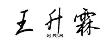 王正良王升霖行書個性簽名怎么寫