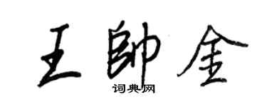 王正良王帥金行書個性簽名怎么寫