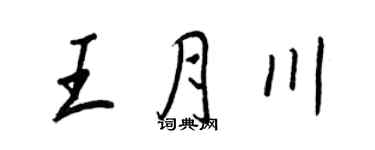 王正良王月川行書個性簽名怎么寫
