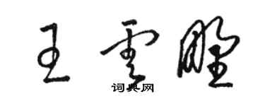 駱恆光王雲野草書個性簽名怎么寫