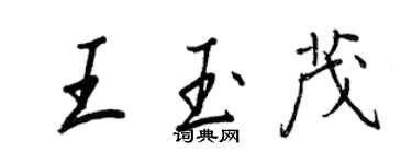王正良王玉茂行書個性簽名怎么寫