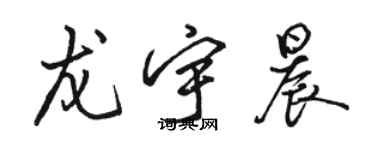 駱恆光龍宇晨行書個性簽名怎么寫