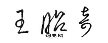 駱恆光王昭奇草書個性簽名怎么寫