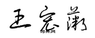 曾慶福王宏薇草書個性簽名怎么寫