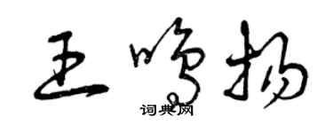 曾慶福王鳴揚草書個性簽名怎么寫