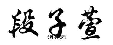 胡問遂段子萱行書個性簽名怎么寫