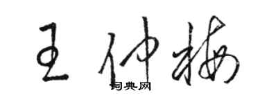 駱恆光王仲梅草書個性簽名怎么寫