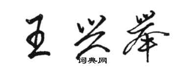 駱恆光王興舉行書個性簽名怎么寫