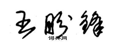 朱錫榮王盼鋒草書個性簽名怎么寫