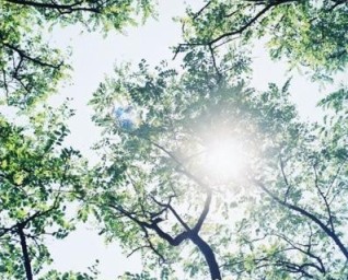 關於堅持的作文 堅持作文專題