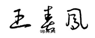 曾慶福王春鳳草書個性簽名怎么寫