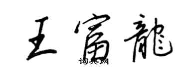 王正良王富龍行書個性簽名怎么寫