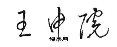 駱恆光王申院草書個性簽名怎么寫